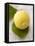 A Lemon with Leaves-Marc O^ Finley-Framed Stretched Canvas