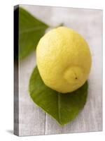 A Lemon with Leaves-Marc O^ Finley-Stretched Canvas