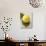 A Lemon with Leaves-Marc O^ Finley-Photographic Print displayed on a wall