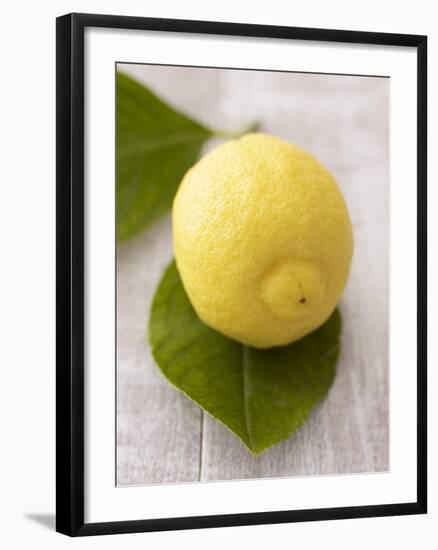 A Lemon with Leaves-Marc O^ Finley-Framed Photographic Print