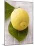 A Lemon with Leaves-Marc O^ Finley-Mounted Photographic Print