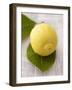 A Lemon with Leaves-Marc O^ Finley-Framed Photographic Print