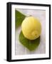 A Lemon with Leaves-Marc O^ Finley-Framed Photographic Print