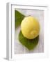 A Lemon with Leaves-Marc O^ Finley-Framed Photographic Print