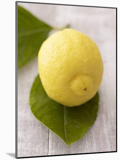 A Lemon with Leaves-Marc O^ Finley-Mounted Photographic Print