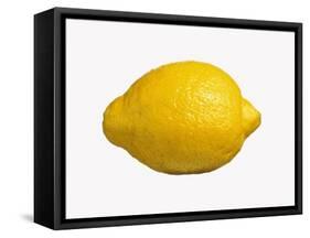 A Lemon-Bodo A^ Schieren-Framed Stretched Canvas