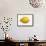 A Lemon-Bodo A^ Schieren-Framed Stretched Canvas displayed on a wall