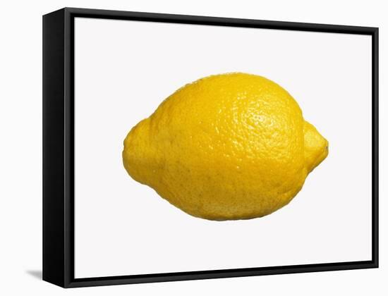 A Lemon-Bodo A^ Schieren-Framed Stretched Canvas