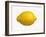 A Lemon-Bodo A^ Schieren-Framed Photographic Print