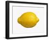 A Lemon-Bodo A^ Schieren-Framed Photographic Print