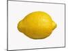 A Lemon-Bodo A^ Schieren-Mounted Photographic Print