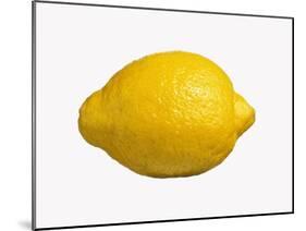 A Lemon-Bodo A^ Schieren-Mounted Photographic Print