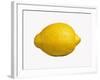 A Lemon-Bodo A^ Schieren-Framed Photographic Print