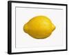 A Lemon-Bodo A^ Schieren-Framed Photographic Print