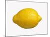 A Lemon-Bodo A^ Schieren-Mounted Photographic Print