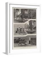 A Leopard Hunt in Upper Burma, I-null-Framed Giclee Print