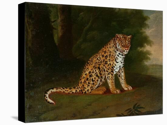 A Leopard in a Landscape-Jacques-Laurent Agasse-Stretched Canvas