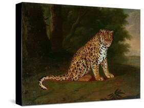 A Leopard in a Landscape-Jacques-Laurent Agasse-Stretched Canvas