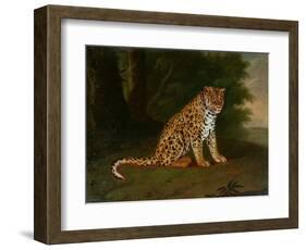 A Leopard in a Landscape-Jacques-Laurent Agasse-Framed Giclee Print