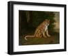 A Leopard in a Landscape-Jacques-Laurent Agasse-Framed Giclee Print