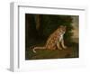 A Leopard in a Landscape-Jacques-Laurent Agasse-Framed Giclee Print