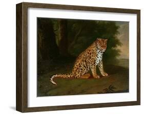 A Leopard in a Landscape-Jacques-Laurent Agasse-Framed Giclee Print