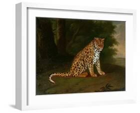 A Leopard in a Landscape-Jacques-Laurent Agasse-Framed Giclee Print