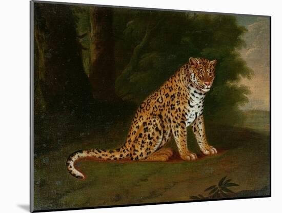 A Leopard in a Landscape-Jacques-Laurent Agasse-Mounted Giclee Print