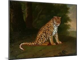 A Leopard in a Landscape-Jacques-Laurent Agasse-Mounted Giclee Print