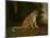 A Leopard in a Landscape-Jacques-Laurent Agasse-Mounted Giclee Print