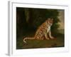 A Leopard in a Landscape-Jacques-Laurent Agasse-Framed Giclee Print