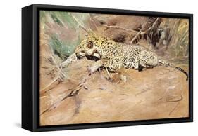 A Leopard-Kuhnert Wilhelm-Framed Stretched Canvas