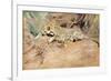 A Leopard-Kuhnert Wilhelm-Framed Giclee Print