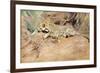 A Leopard-Kuhnert Wilhelm-Framed Giclee Print