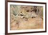 A Leopard-Kuhnert Wilhelm-Framed Giclee Print