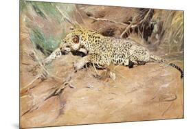 A Leopard-Kuhnert Wilhelm-Mounted Giclee Print