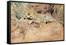 A Leopard-Kuhnert Wilhelm-Framed Stretched Canvas