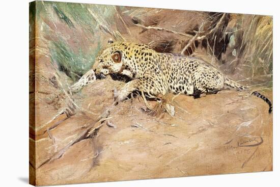 A Leopard-Kuhnert Wilhelm-Stretched Canvas