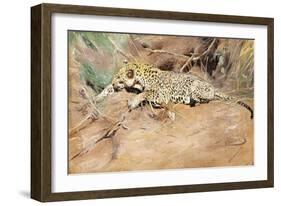 A Leopard-Kuhnert Wilhelm-Framed Giclee Print