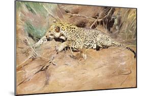 A Leopard-Kuhnert Wilhelm-Mounted Giclee Print