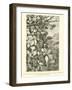 A Liana Called by the Natives Yahuar Cencca-Édouard Riou-Framed Giclee Print