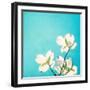 A Life So Colorful-Carolyn Cochrane-Framed Photographic Print