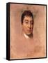 A Life Study of the Marquis De Lafayette, 1824-1825-Thomas Sully-Framed Stretched Canvas