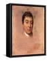 A Life Study of the Marquis De Lafayette, 1824-1825-Thomas Sully-Framed Stretched Canvas