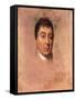 A Life Study of the Marquis De Lafayette, 1824-1825-Thomas Sully-Framed Stretched Canvas