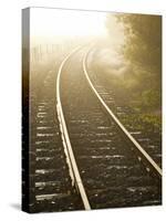 A Light Fog and Frost on the Forgotten World Road in New Zealand's North Island.-Sergio Ballivian-Stretched Canvas