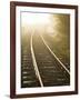 A Light Fog and Frost on the Forgotten World Road in New Zealand's North Island.-Sergio Ballivian-Framed Photographic Print