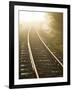 A Light Fog and Frost on the Forgotten World Road in New Zealand's North Island.-Sergio Ballivian-Framed Photographic Print