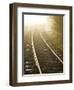 A Light Fog and Frost on the Forgotten World Road in New Zealand's North Island.-Sergio Ballivian-Framed Photographic Print