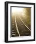 A Light Fog and Frost on the Forgotten World Road in New Zealand's North Island.-Sergio Ballivian-Framed Photographic Print